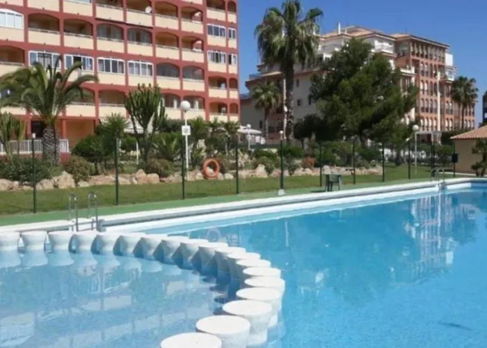 Grace تورّيفيِخا